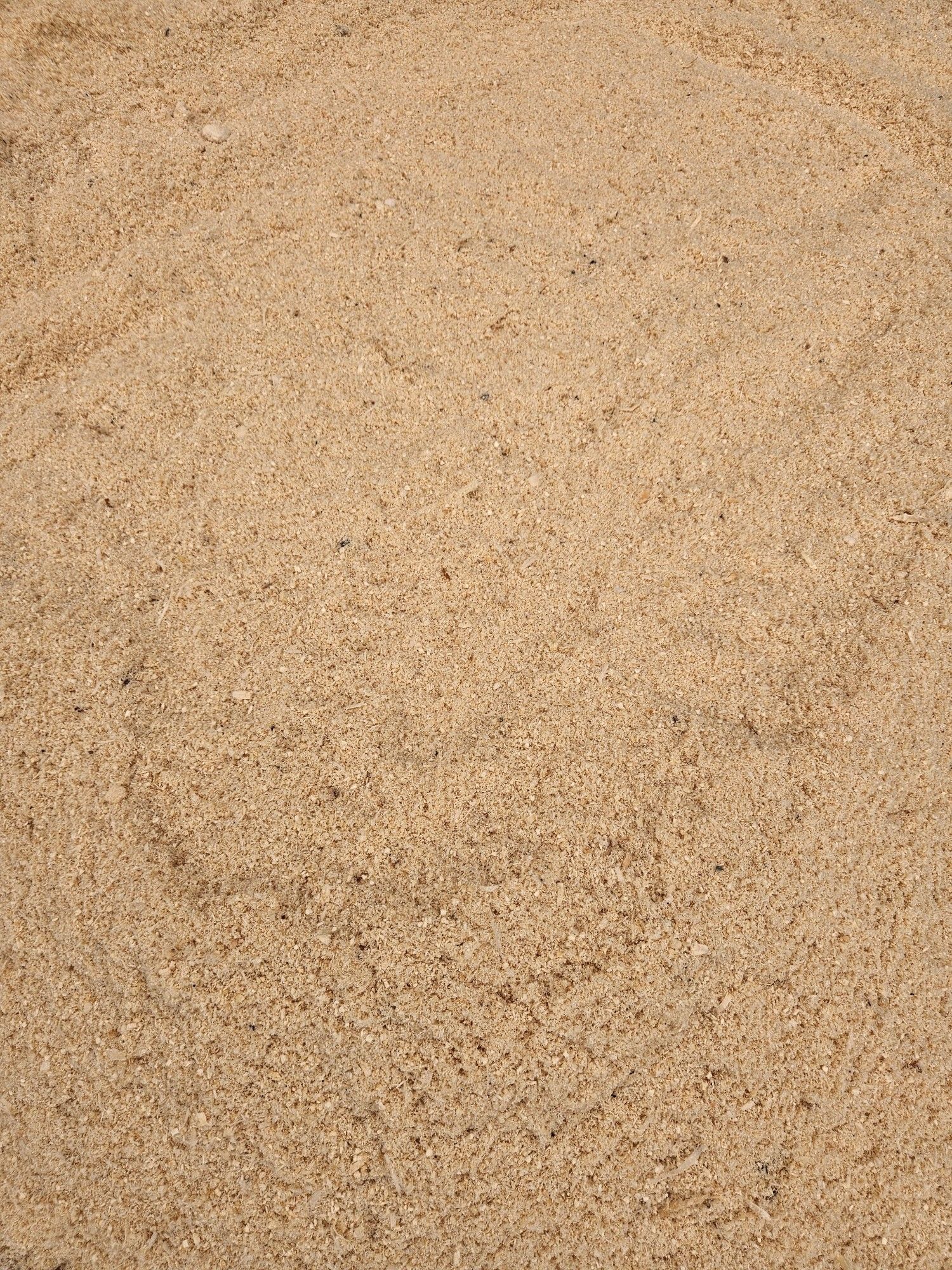 Saegespaene